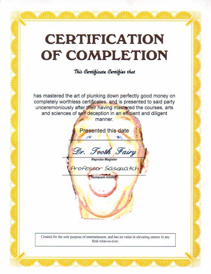 Fake Certification image